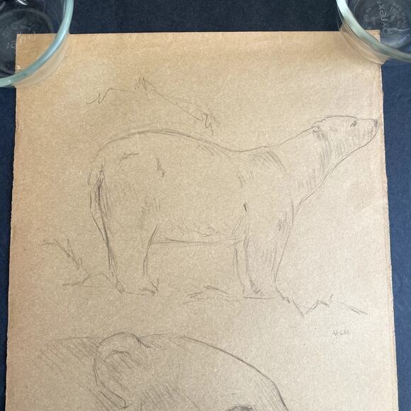 Vintage Original Polar Bear Study Pencil Sketch HGM - Picture 2 of 6